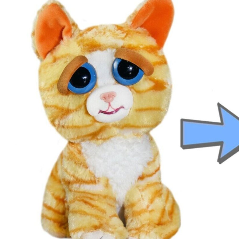 Feisty Pets Princess Pottymouth Grin Expression Tabby Cat